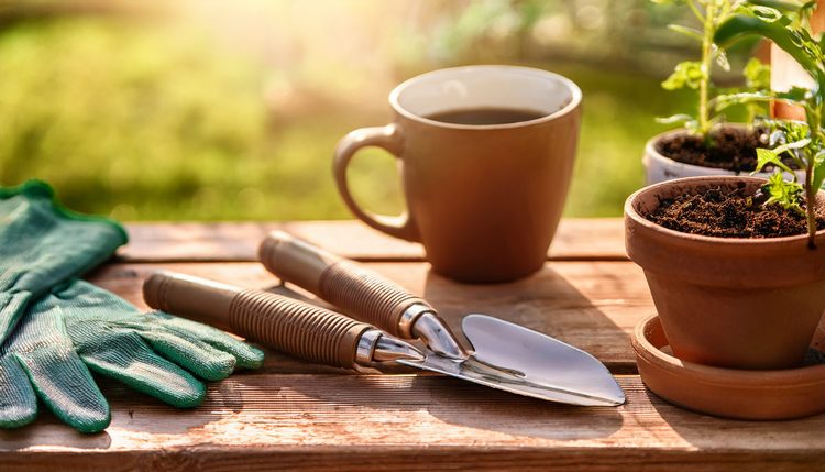 Gardening gloves and pruning shears on a wooden potting bench beside a ceramic cup of espresso, terracotta pots with seedlings around
