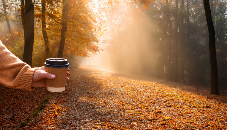 A travel mug of coffee held by a hand in a knit sweater sleeve, walking along a tree-lined path covered in golden and amber leaves, soft morning fog